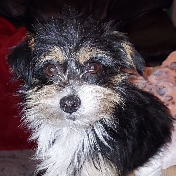 Meet your Posher, Joanne - Picture 2 of 2